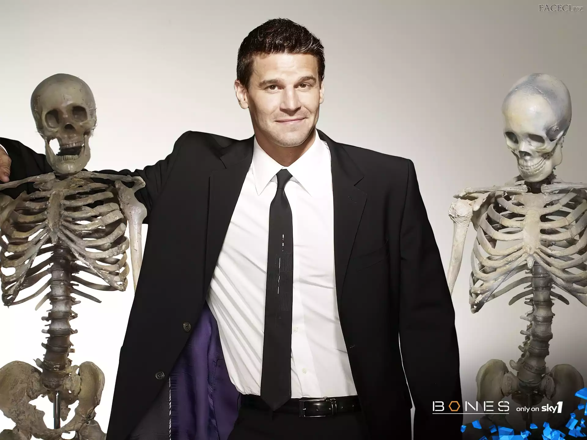 David Boreanaz, Szkielety, Bones, Serial, Kości